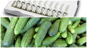 przepisy na maseczki odmładzające skórę dłoni